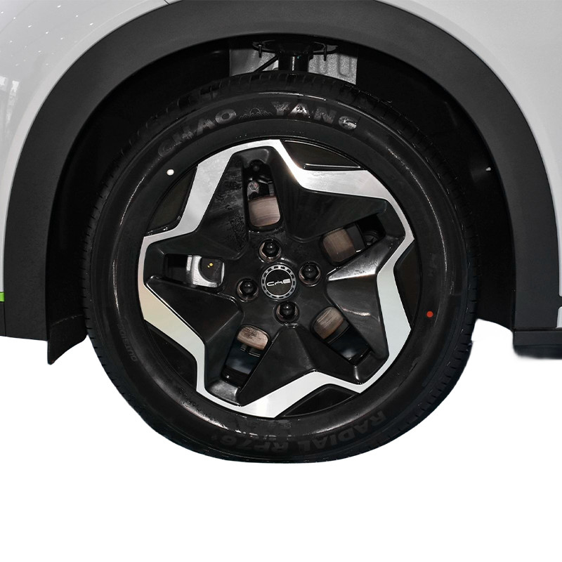 Rein elektrisches Auto BYD Dolphin BYD Energiefahrzeug 5 Türen 5 Sitz hatchback