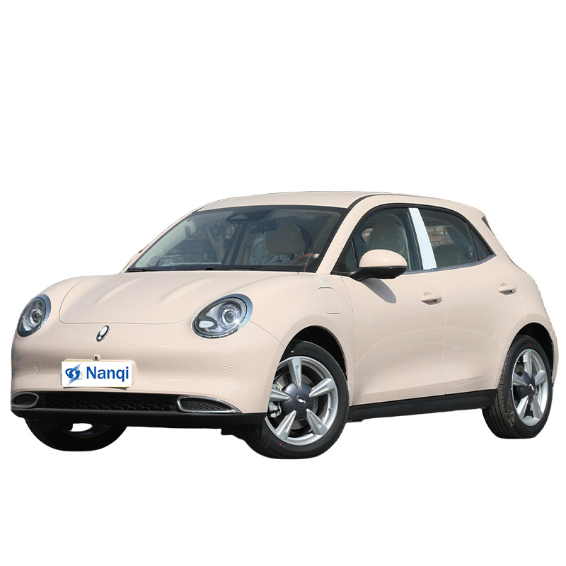 ORA Good Cat Rein elektrisch 5-Sitzer-Hatchback-Autos Hochklasse und exquisite