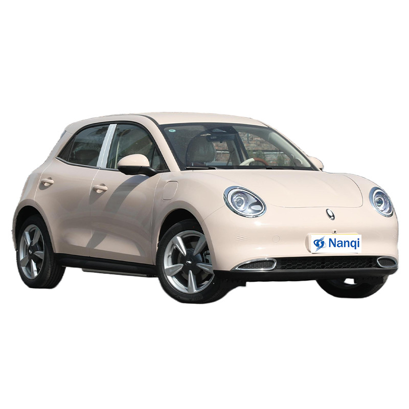ORA Good Cat Rein elektrisch 5-Sitzer-Hatchback-Autos Hochklasse und exquisite