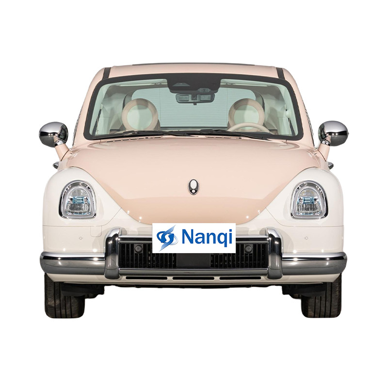 ORA Ballet Cat 500 km reines Elektrofahrzeug 5-Türer 5-Sitzer Hatchback