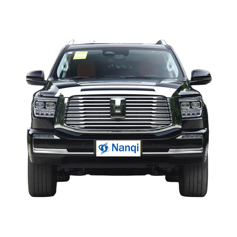 TANK 500 Hi4-T Neuer Energiewagen Hochgeschwindigkeits-Business-Elektro-SUV